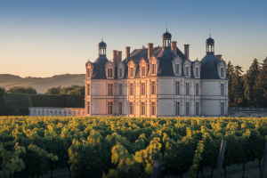 Château de Tigné à Vendre : Propriétaire Gérard Depardieu